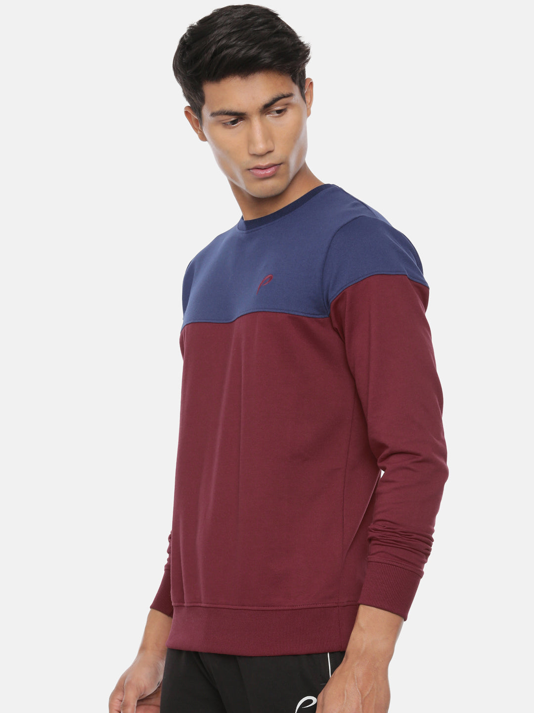 Men's Color Block Sweatshirts